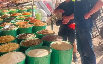 2-Day Bahir Dar Tour to Lake Tana Monasteries & Local Markets