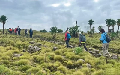 8-Day Simien Mountains Trekking Adventure from Gondar