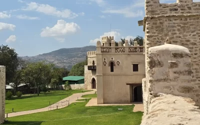 Gondar Castles & Historical City Day Tour