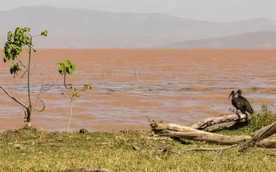 10-Day Tour to Lake Chamo, Hawassa & Omo Valley Tribes