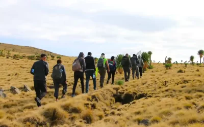 3-Day Simien Mountains Trekking Tours
