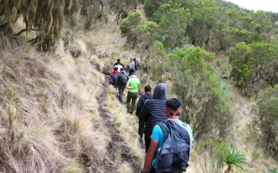 10-Day Simien Mountains Trekking Tour to Ras Dashen Peak