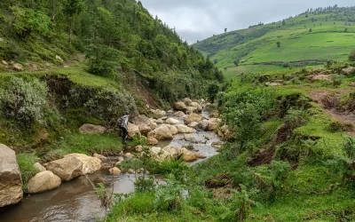 Menagesha Suba Forest Day Tour from Addis Ababa